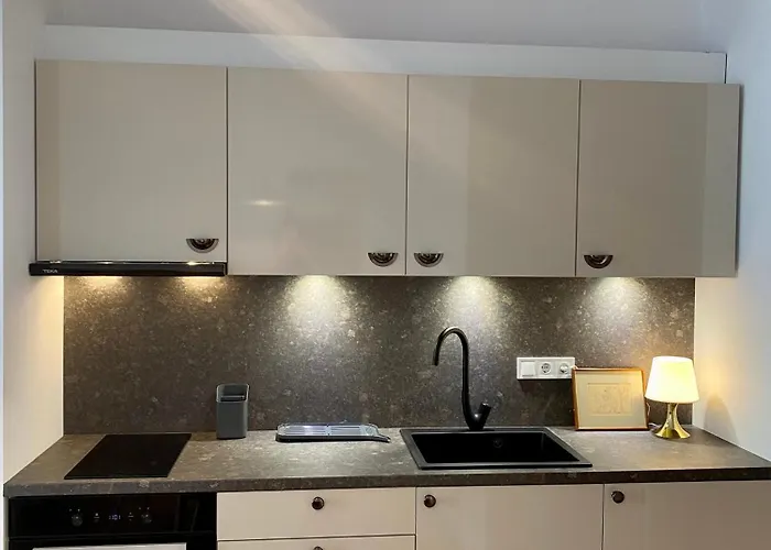 Mycampus Free Wifi Top Mountain Views Full Kitchen Equipment